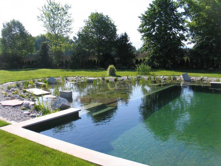 Installation piscine naturelle Bas-en-Basset